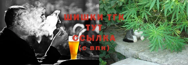 амф Липки