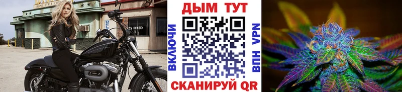 как найти наркотики  Альметьевск  Каннабис индика 